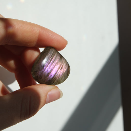 Lila Labradorit Cabochon ~ 21XR