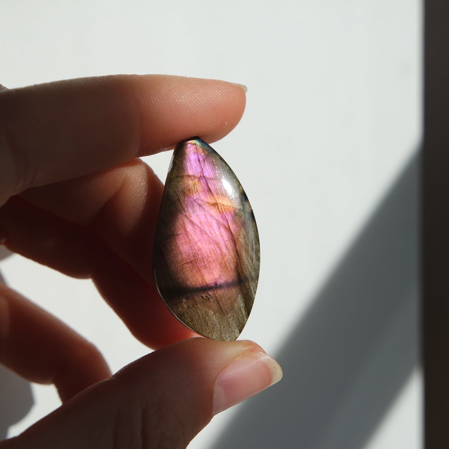 Lila Labradorit Cabochon ~ 14XE