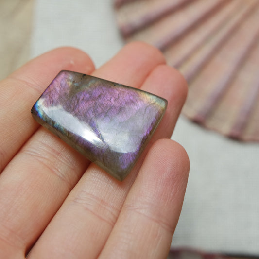 Lila Labradorit Cabochon ~ 18XO