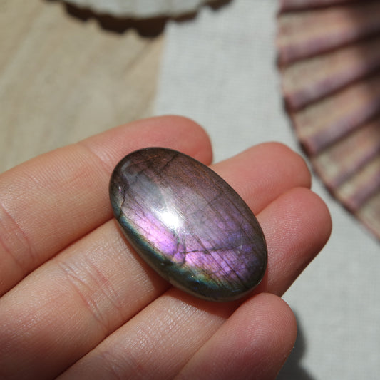 Lila Labradorit Cabochon ~ 18XM