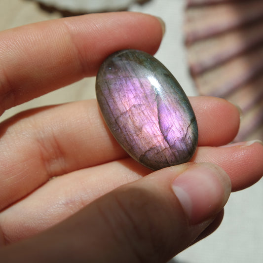 Lila Labradorit Cabochon ~ 18XM