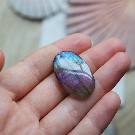 Lila Labradorit Cabochon ~ 12YB