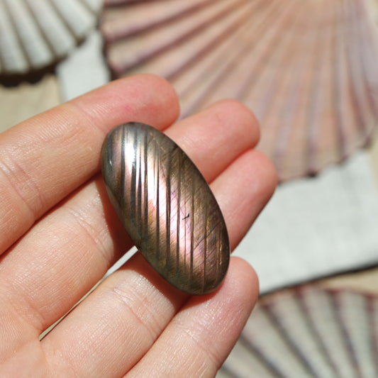 Lila Labradorit Cabochon ~ 24XJ