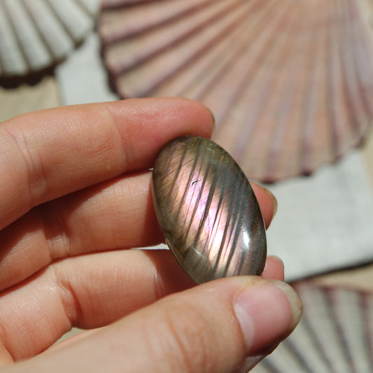 Lila Labradorit Cabochon ~ 24XJ