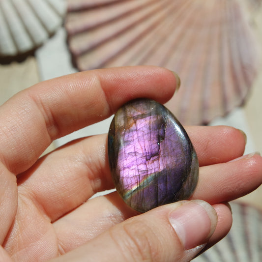Lila Labradorit Cabochon ~ 24XK