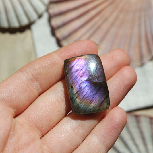 Lila Labradorit Cabochon ~ 24XL