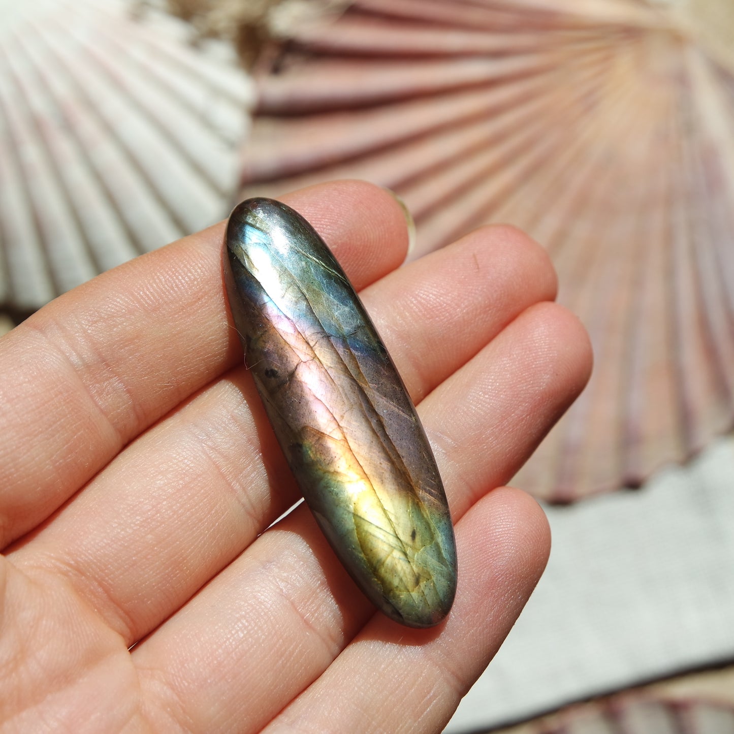 Lila Labradorit Cabochon ~ 24XN