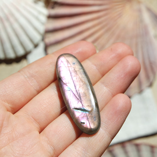 Lila Labradorit Cabochon ~ 24XO