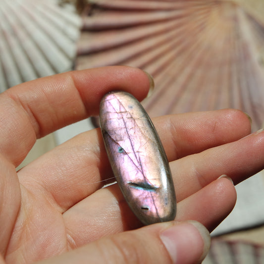 Lila Labradorit Cabochon ~ 24XO