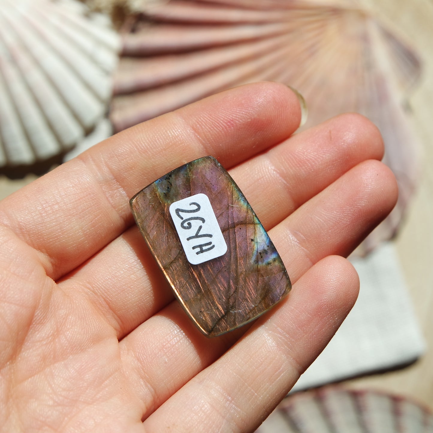 Lila Labradorit Cabochon ~ 26YH