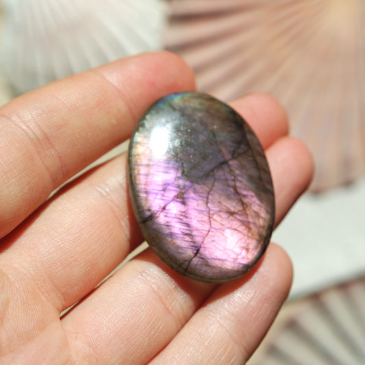 Lila Labradorit Cabochon ~ 24ZB