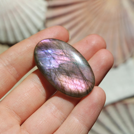 Lila Labradorit Cabochon ~ 24ZC