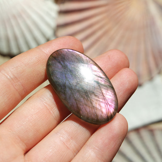 Lila Labradorit Cabochon ~ 24ZC