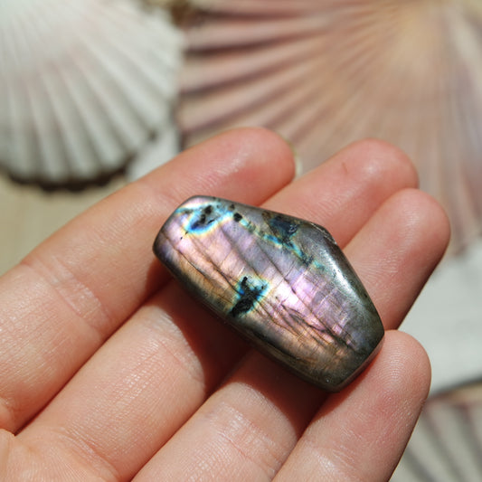 Lila Labradorit Cabochon ~ 24ZD