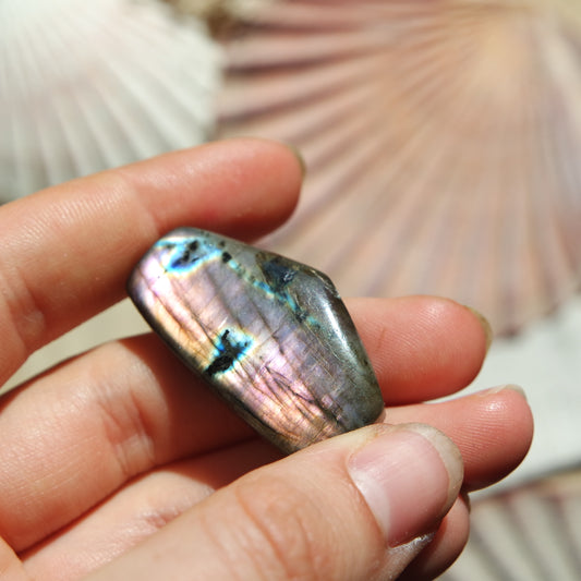 Lila Labradorit Cabochon ~ 24ZD