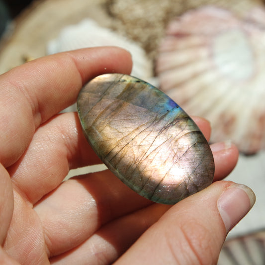 Labradorit Cabochon ~ 44XB