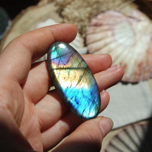 Labradorit Cabochon ~ 49XA
