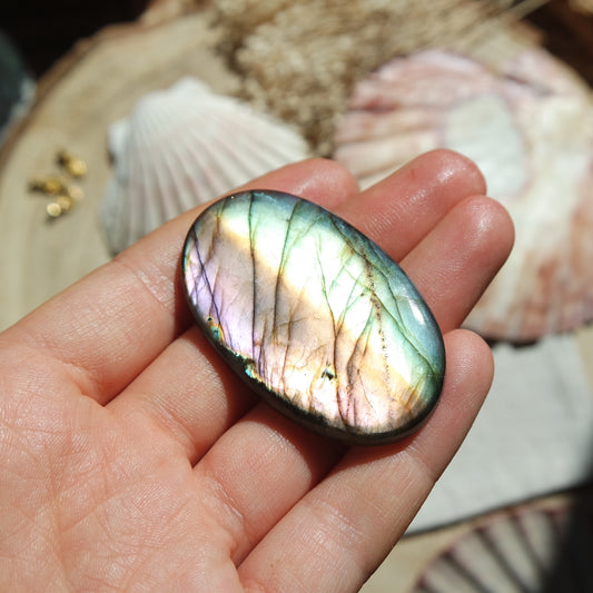 Labradorit Cabochon ~ 49XC