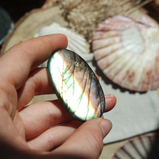 Labradorit Cabochon ~ 49XC