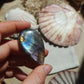 Labradorit Cabochon ~ 42XB