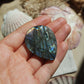 Labradorit Cabochon ~ 42XC