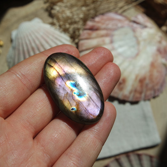 Labradorit Cabochon ~ 42XD