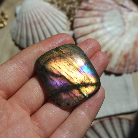 Labradorit Cabochon ~ 42XH