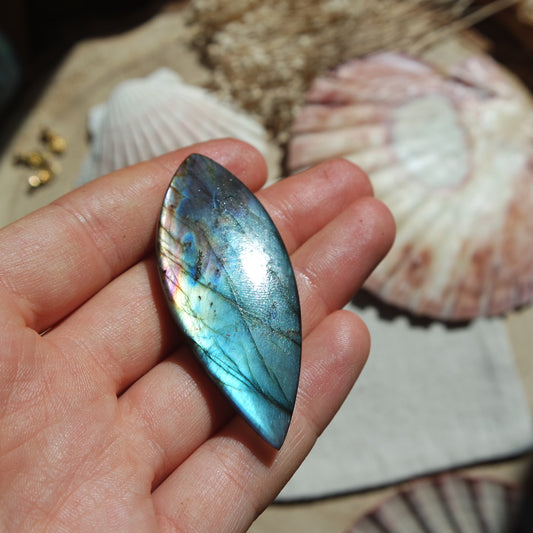 Labradorit Cabochon ~ 42XK