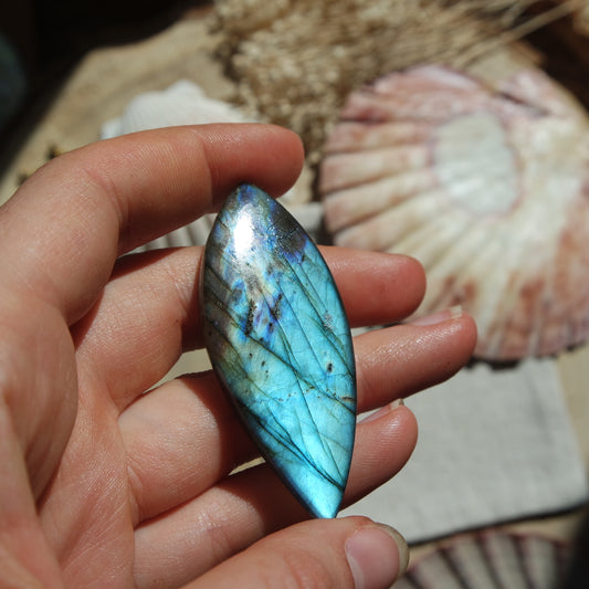 Labradorit Cabochon ~ 42XK
