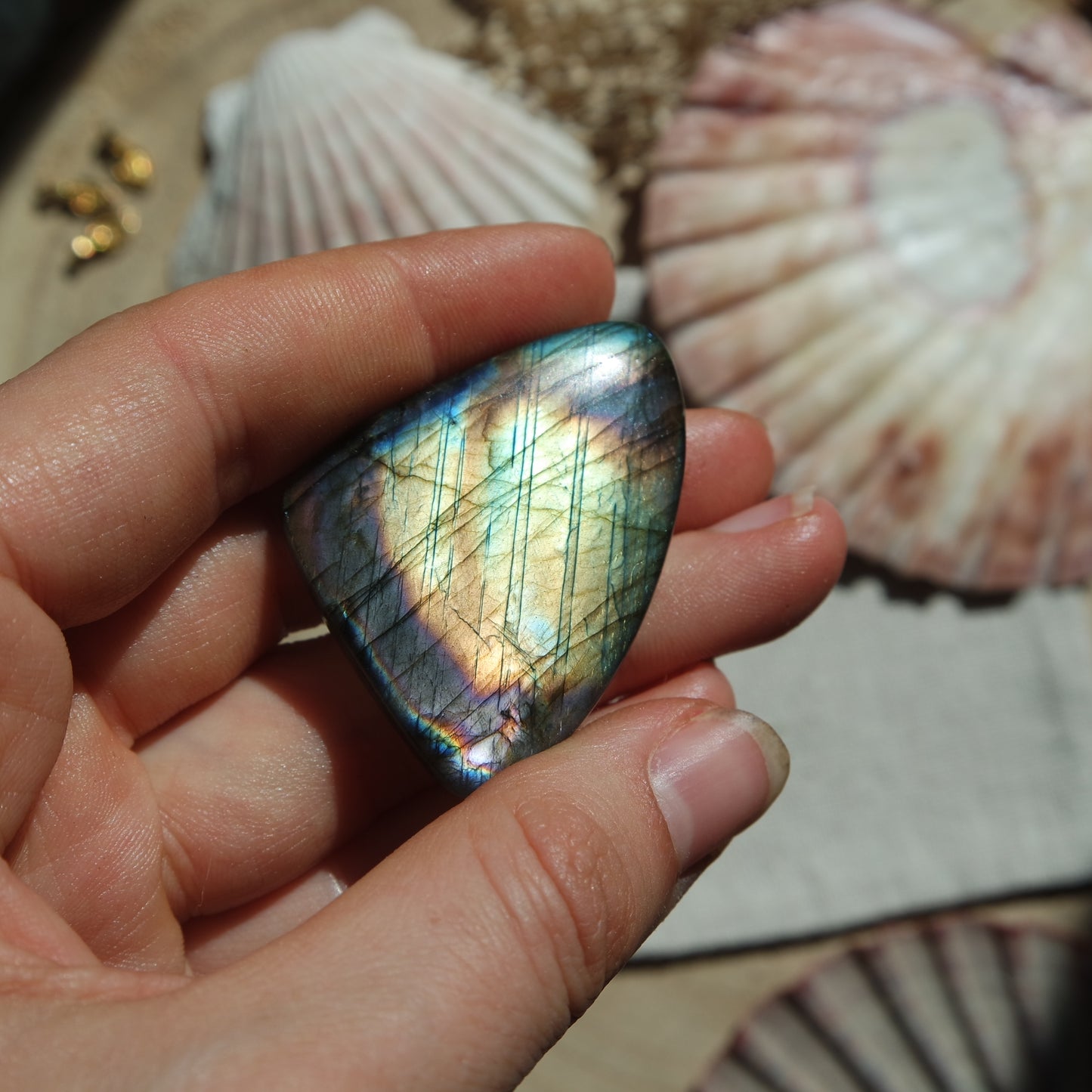 Labradorit Cabochon ~ 42XQ