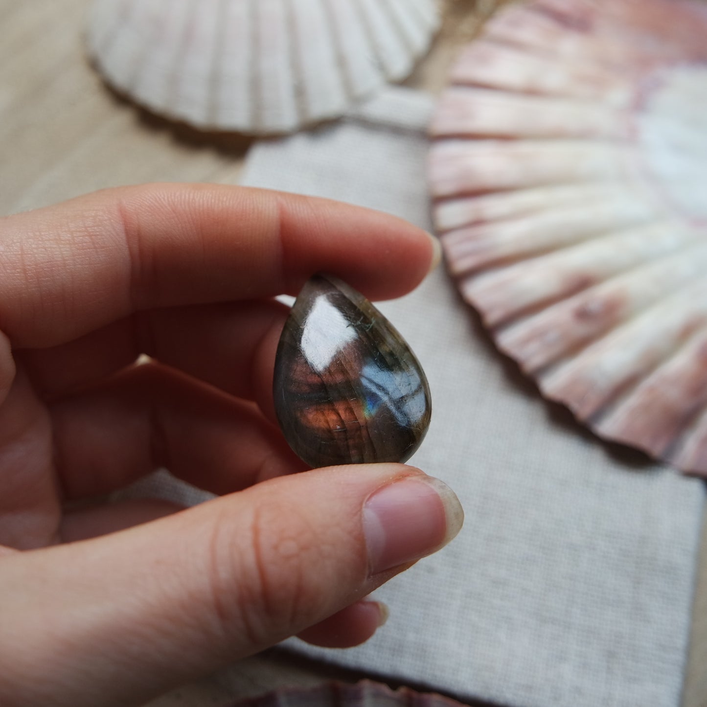 Labradorit Cabochon ~ 14YA