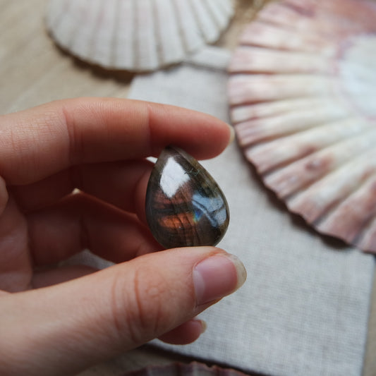 Labradorit Cabochon ~ 14YA