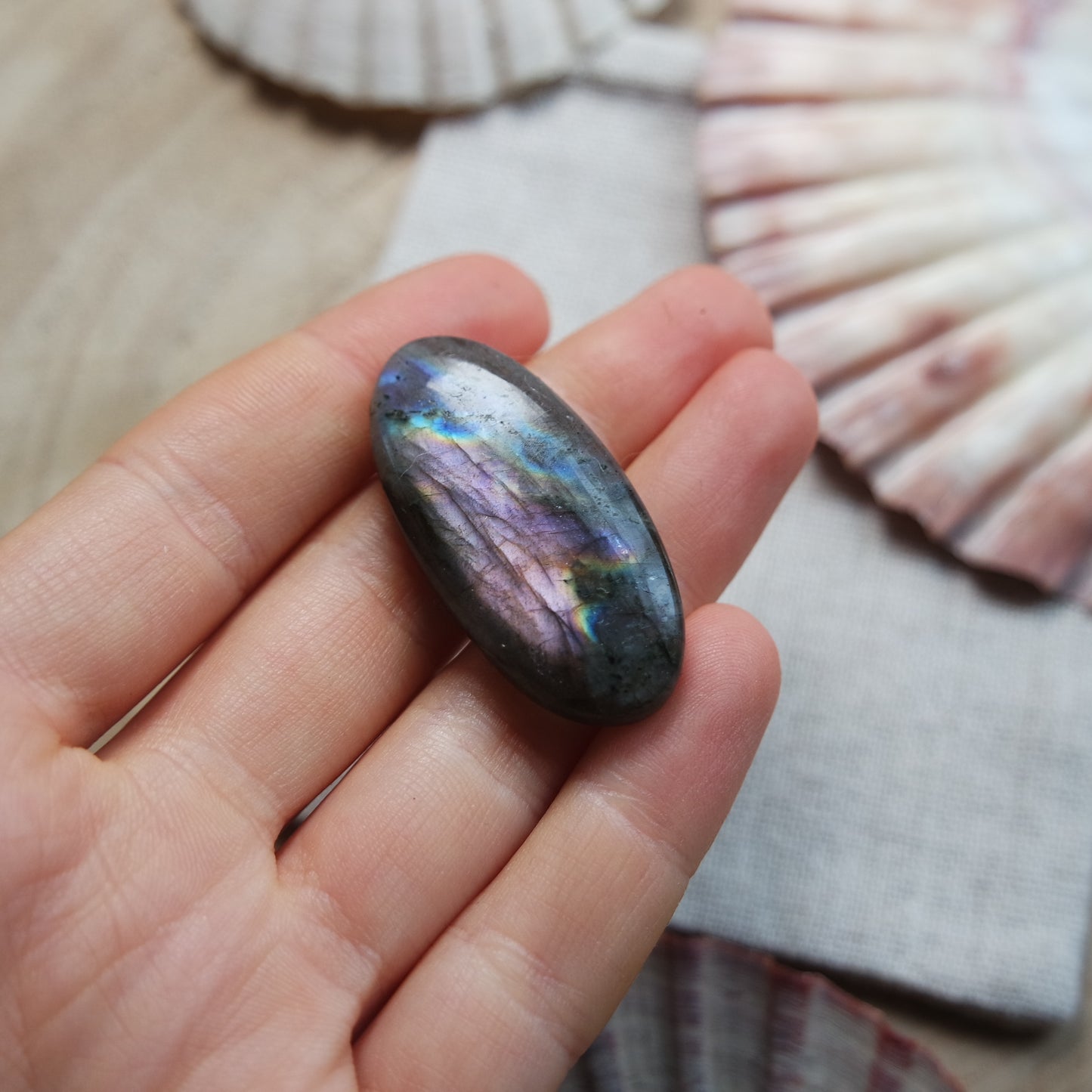 Labradorit Cabochon ~ 14YB