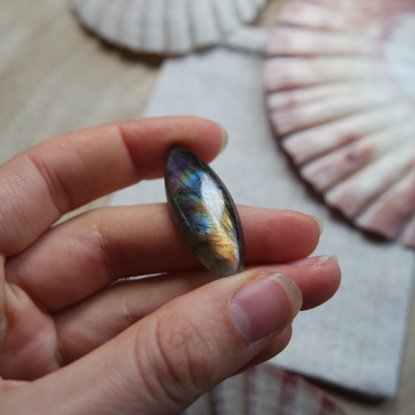 Labradorit Cabochon ~ 14YD