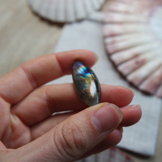 Labradorit Cabochon ~ 14YD