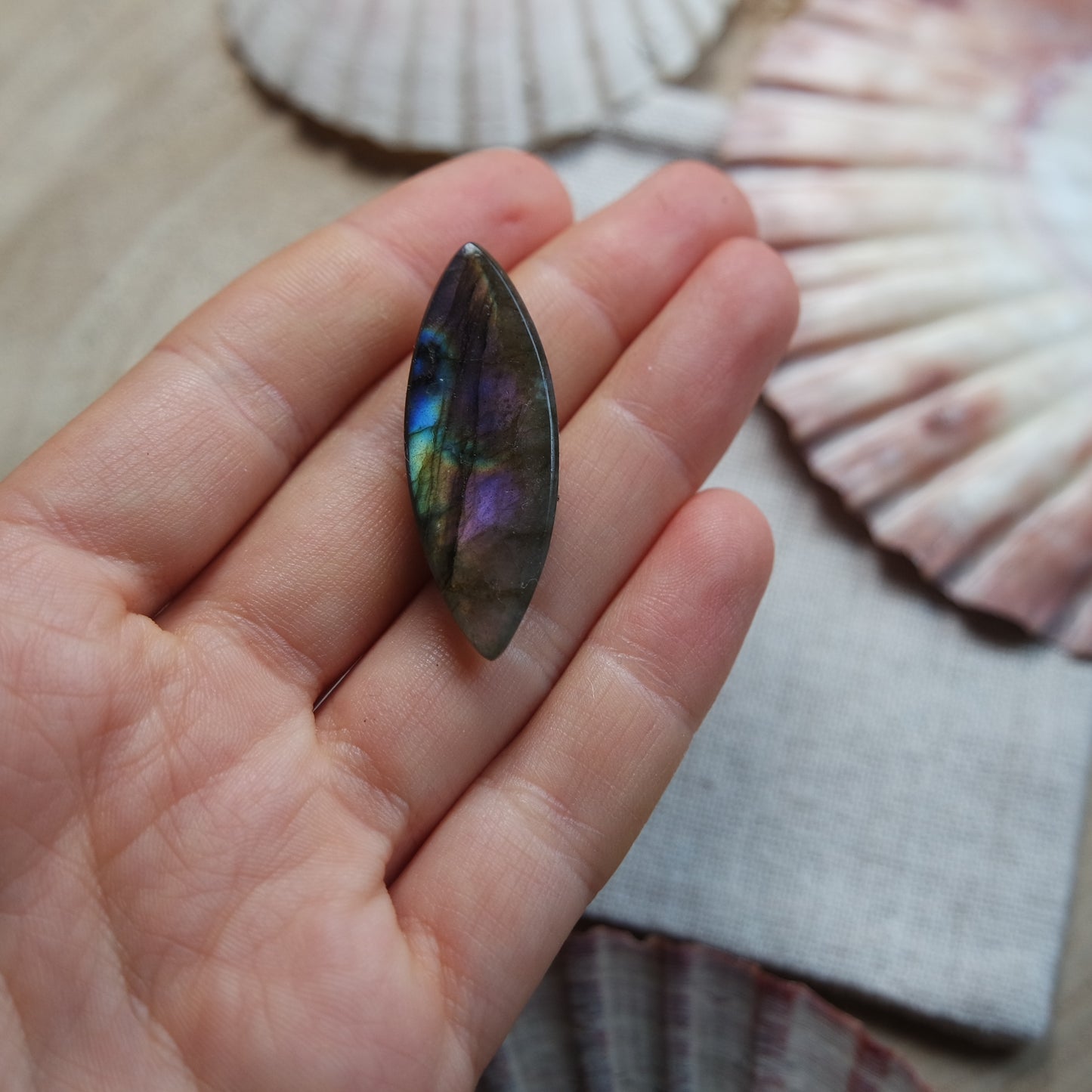 Labradorit Cabochon ~ 14YD