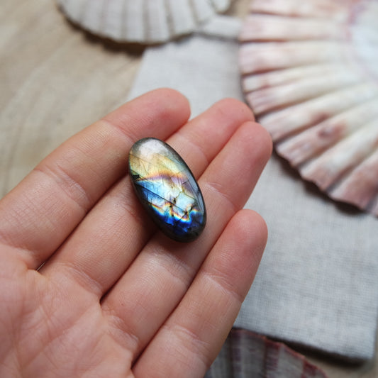 Labradorit Cabochon ~ 14YF