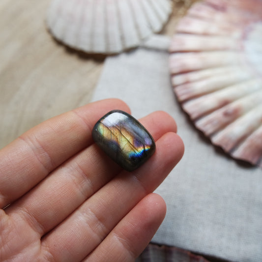 Labradorit Cabochon ~ 14Yi