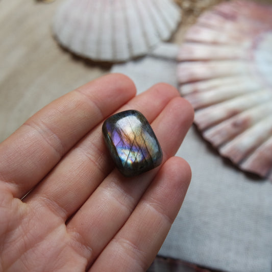 Labradorit Cabochon ~ 14Yi