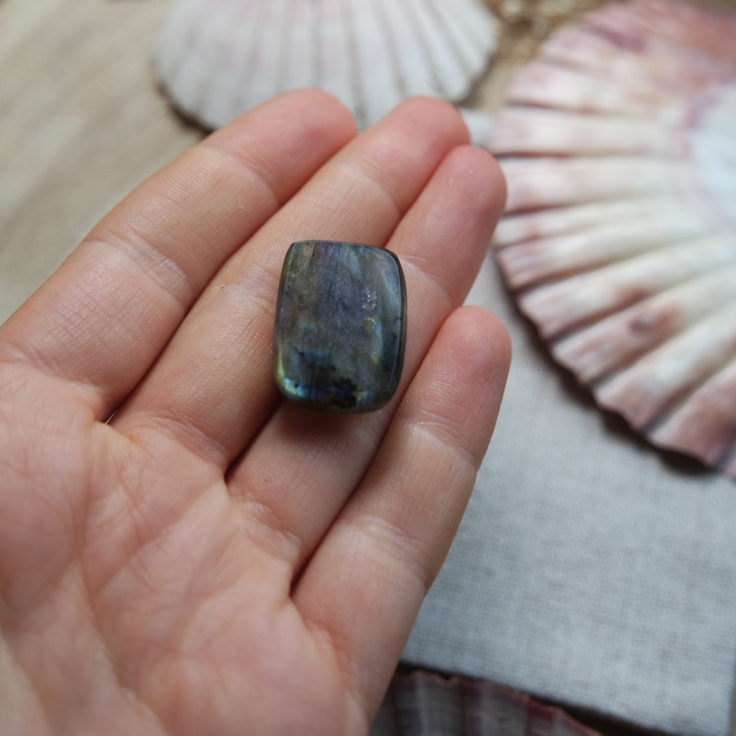 Labradorit Cabochon ~ 14Yi