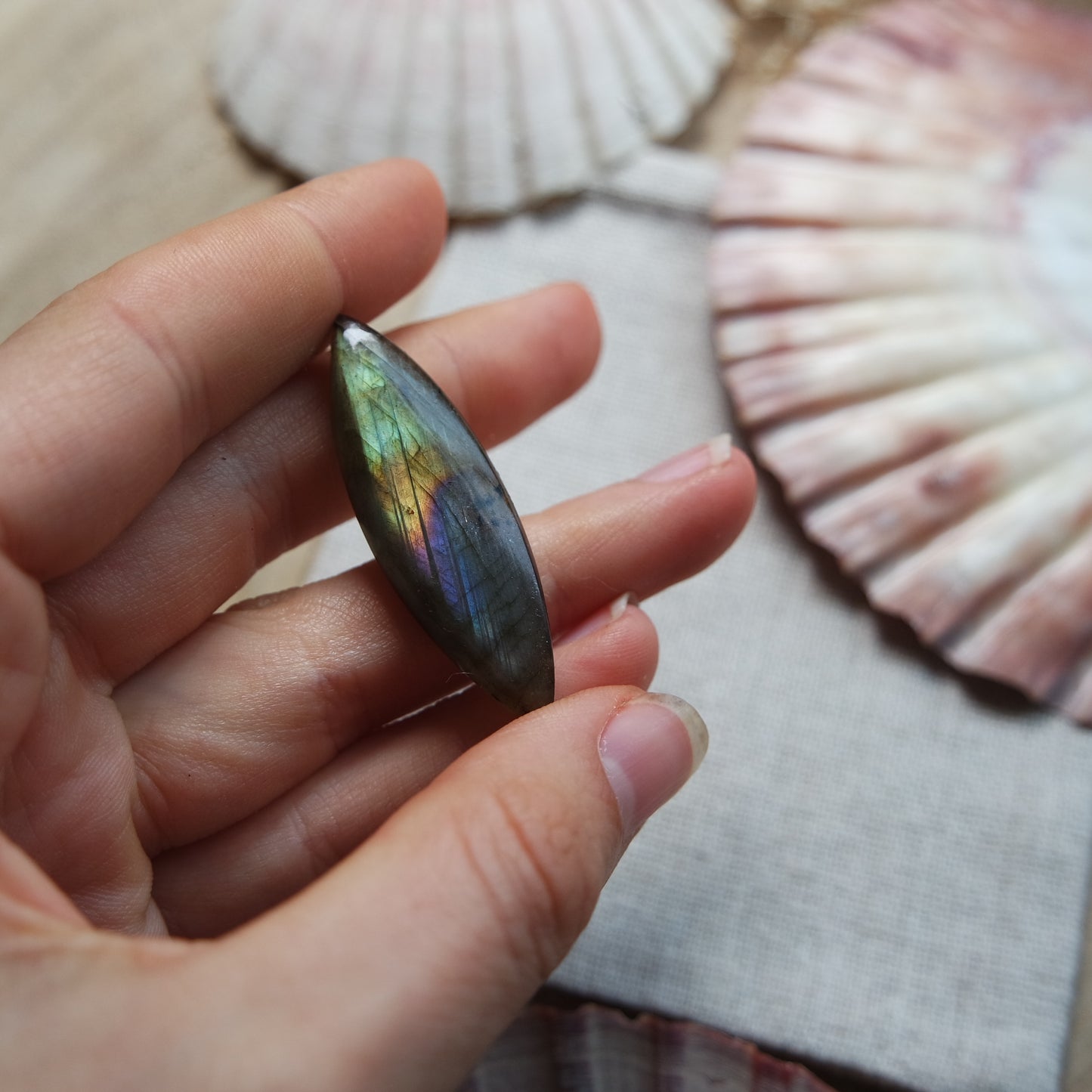 Labradorit Cabochon ~ 14Yj