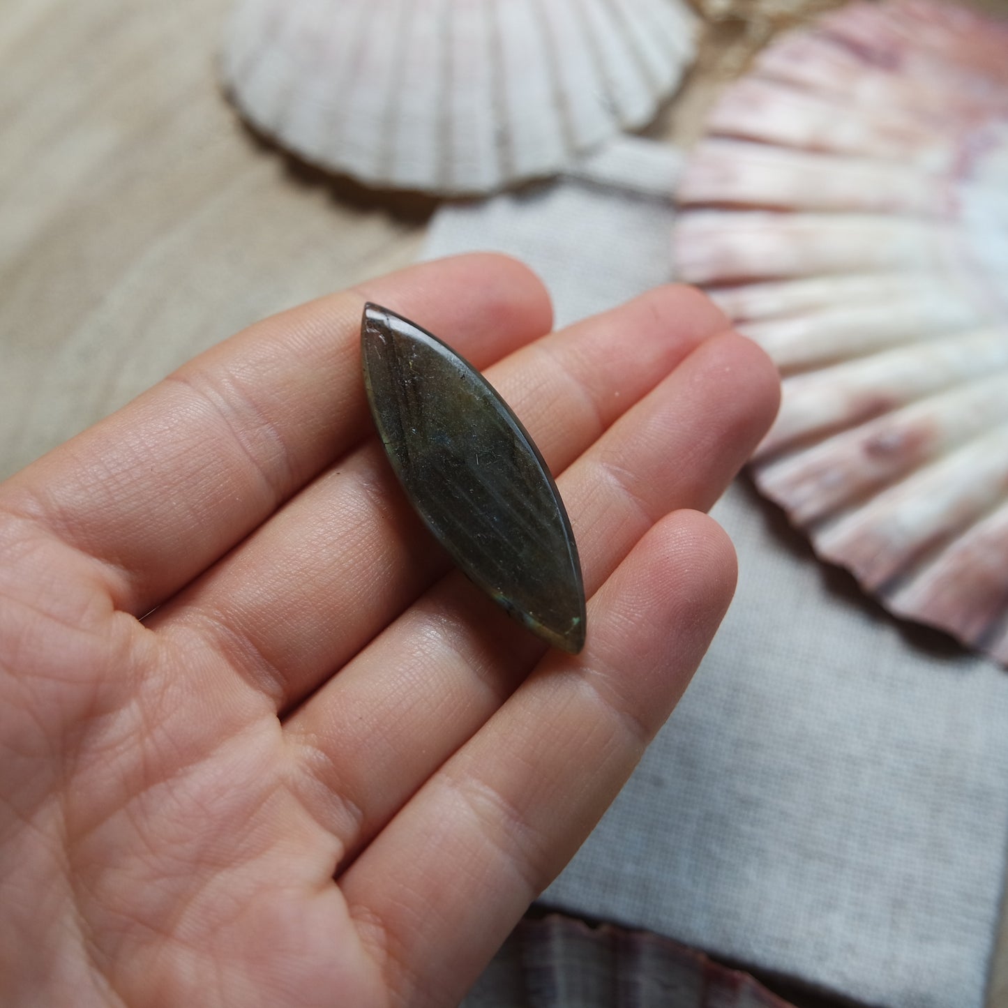 Labradorit Cabochon ~ 14Yj