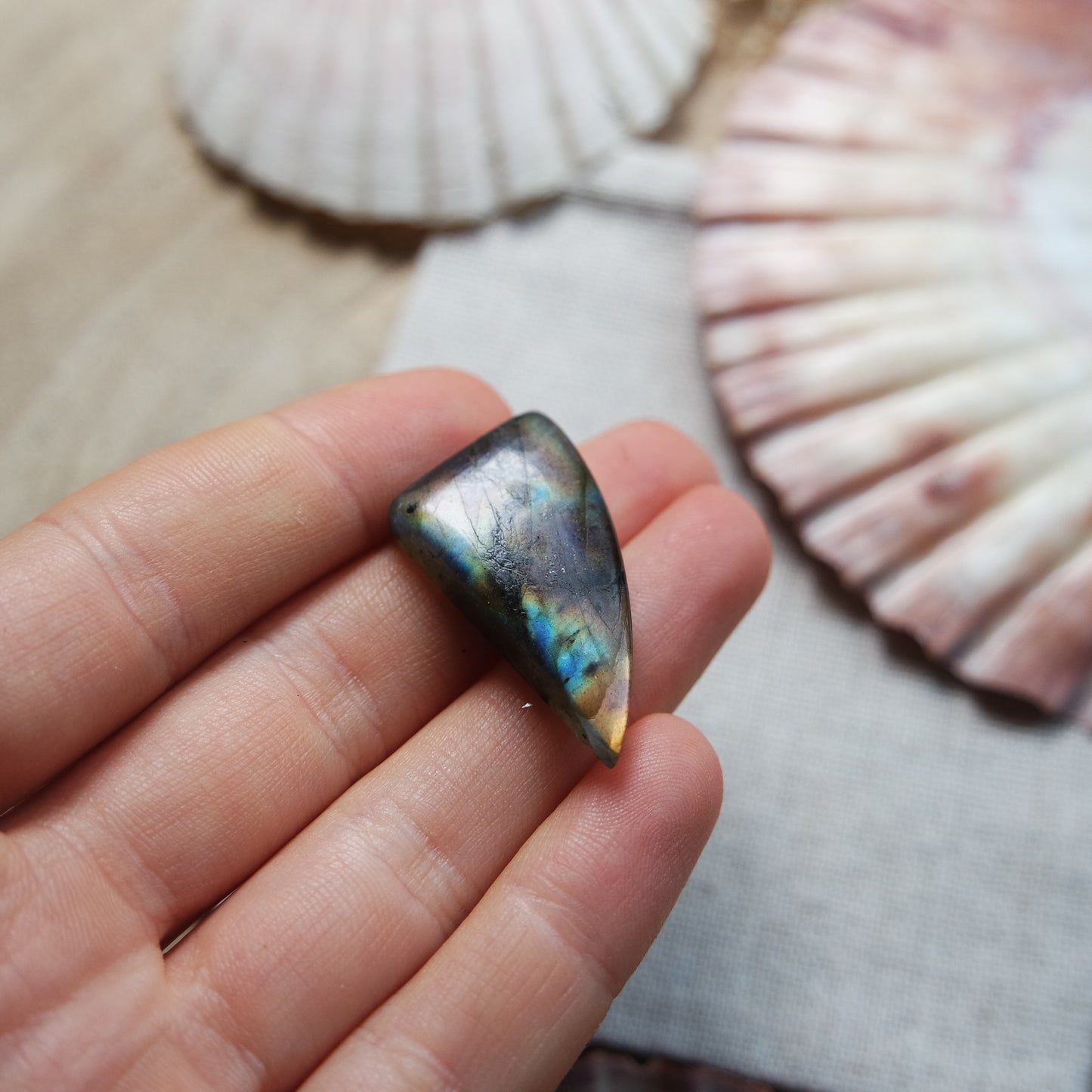 Labradorit Cabochon ~ 14YK