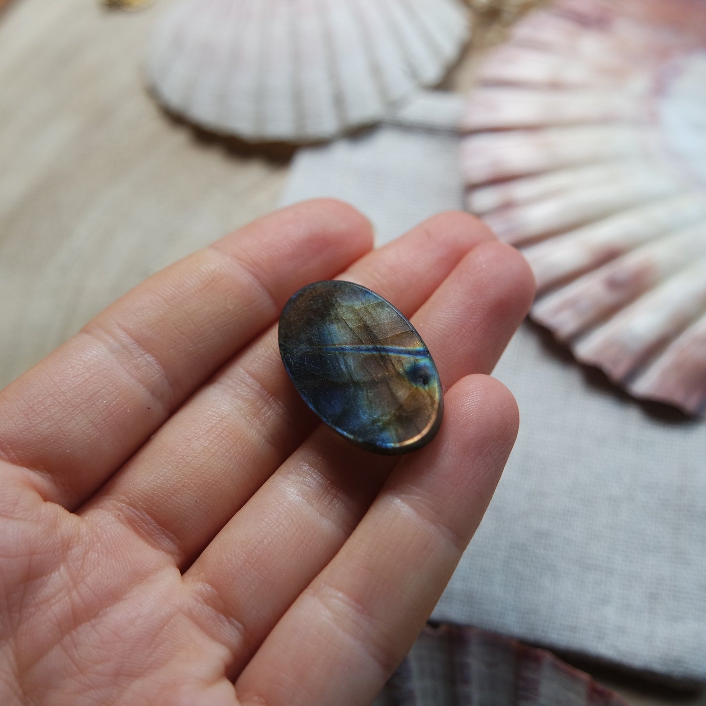 Labradorit Cabochon ~ 14YQ