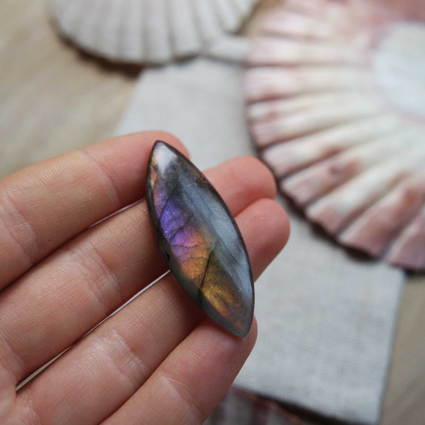 Labradorit Cabochon ~ 14YU