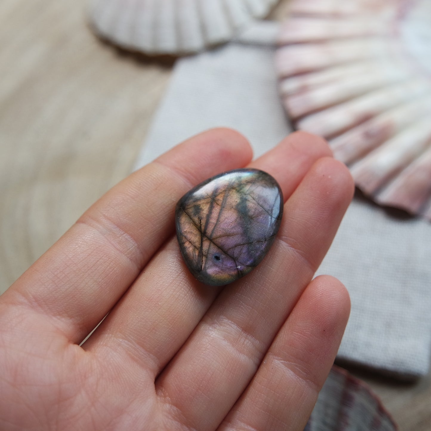 Labradorit Cabochon ~ 14YZ