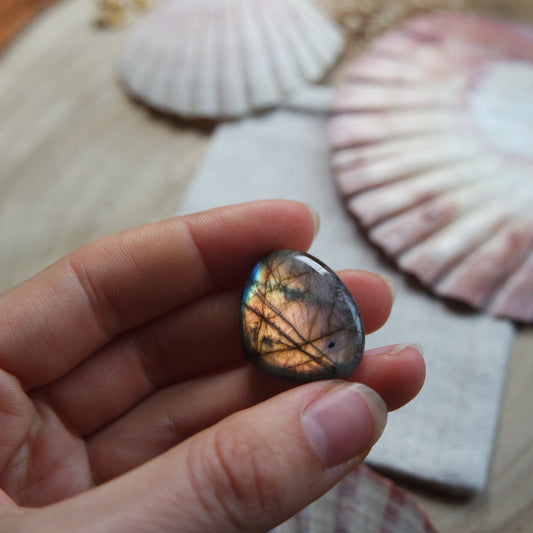 Labradorit Cabochon ~ 14YZ