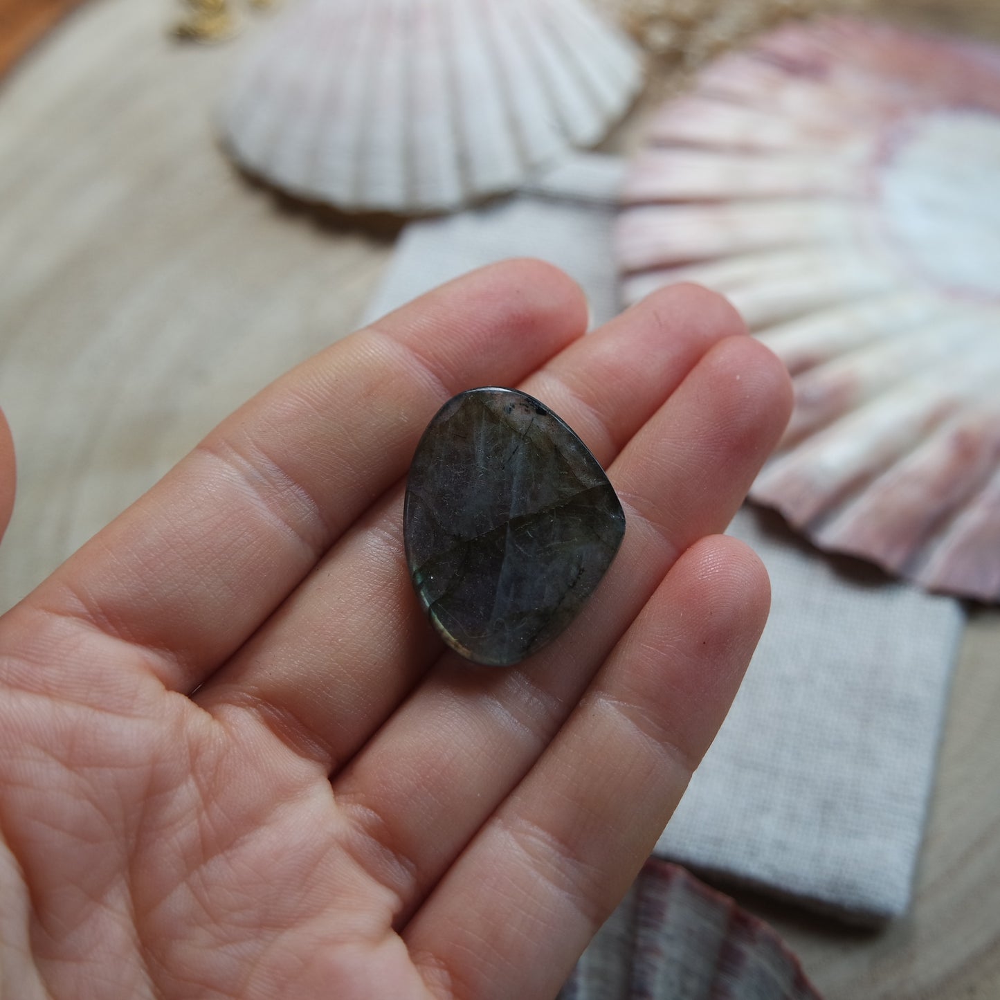 Labradorit Cabochon ~ 14YZ