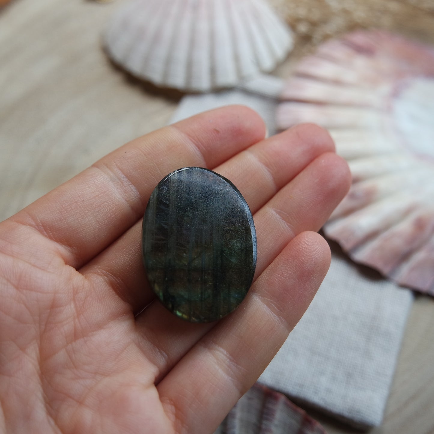 Labradorit Cabochon ~ 29YQ