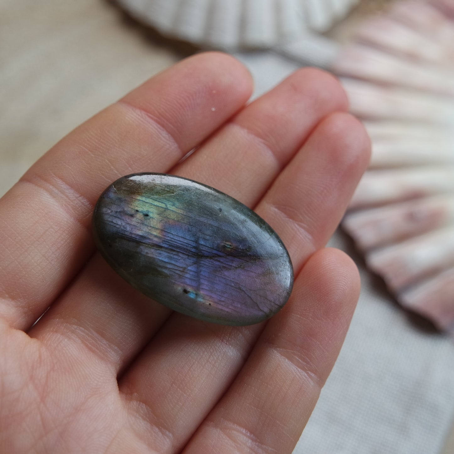 Labradorit Cabochon ~ 18YE